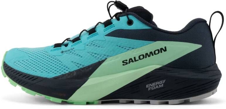 Salomon Sense Ride 5 GTX Dames