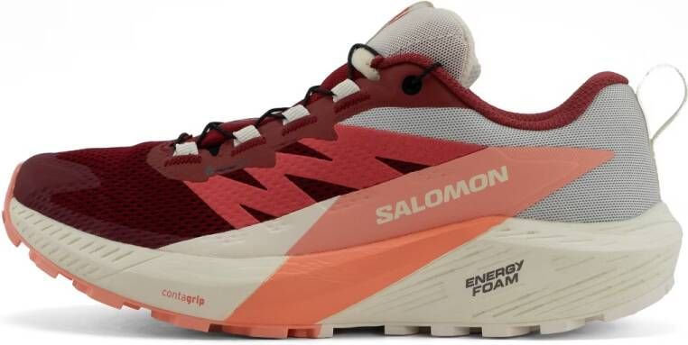 Salomon Sense Ride 5 GTX Dames