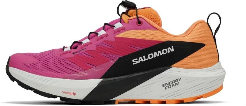 Salomon Sense Ride 5 GTX Dames