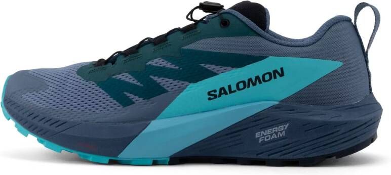 Salomon Sense Ride 5 GTX Heren