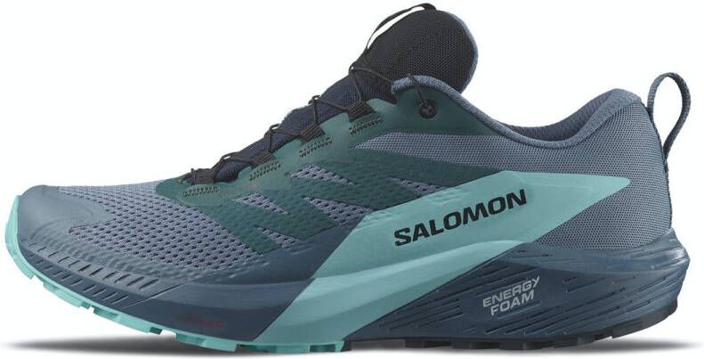 Salomon Sense Ride 5 GTX Heren