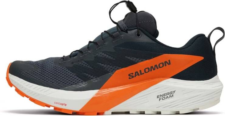 Salomon Sense Ride 5 GTX Heren