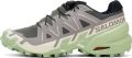 Salomon Dames Speedcross 6 Schoenen - Groen