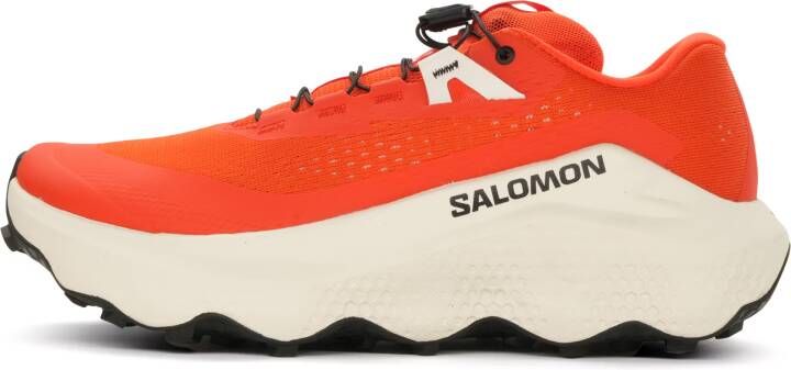 Salomon Speedcross 6 GTX Heren