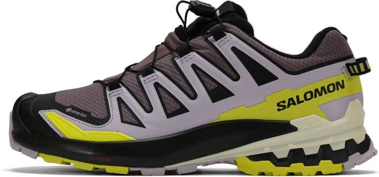 Salomon XA Pro 3D v9 GTX Dames