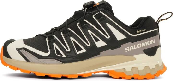 Salomon XA Pro 3D V9 GTX Heren