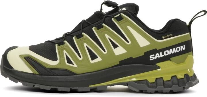 Salomon XA Pro 3D V9 GTX Heren