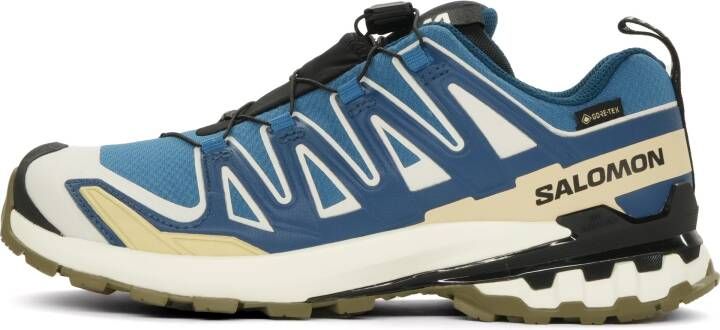 Salomon XA Pro 3D V9 GTX Heren
