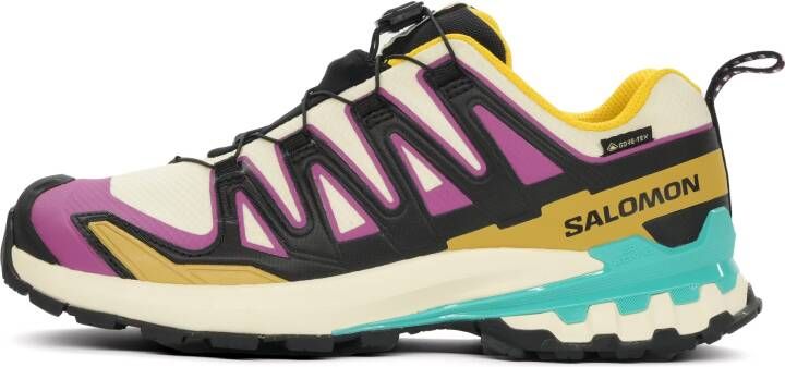 Salomon XA Pro 3D V9 GTX Heren
