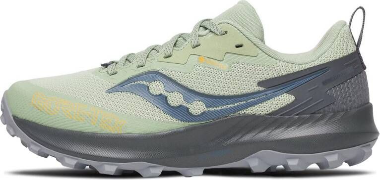 Saucony Peregrine 14 GTX Dames