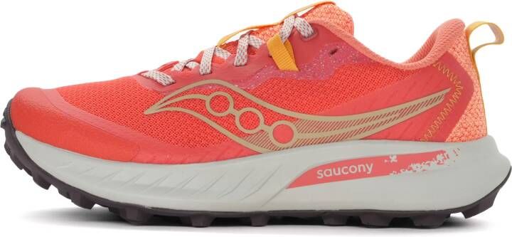 Saucony Peregrine 15 Dames