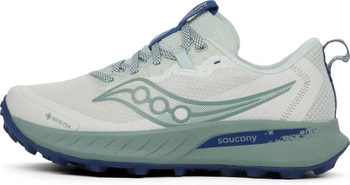 Saucony Peregrine 15 GTX Dames