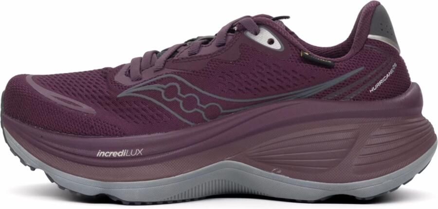 Saucony Hurricane 26 GTX Dames