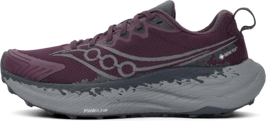 Saucony Ride TR 3 GTX Dames