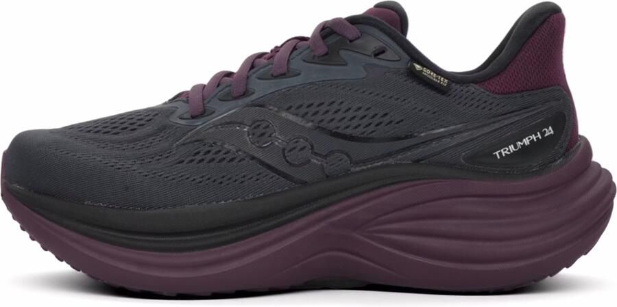 Saucony Triumph 24 GTX Dames