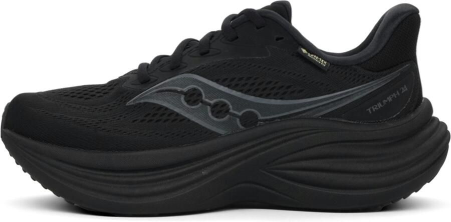 Saucony Triumph 24 GTX Heren