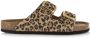 DWRS LABEL Leopard slippers leer met gouden details Beige Leer Slippers met gesp Dames - Thumbnail 1