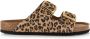 DWRS LABEL Leopard slippers leer met gouden details Beige Leer Slippers met gesp Dames - Thumbnail 4