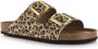 DWRS LABEL Leopard slippers leer met gouden details Beige Leer Slippers met gesp Dames - Thumbnail 2