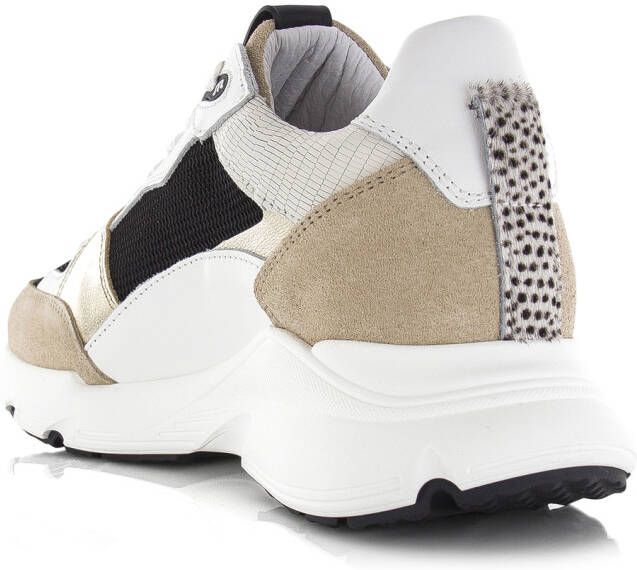 Maruti Raven suede black Leer Dames