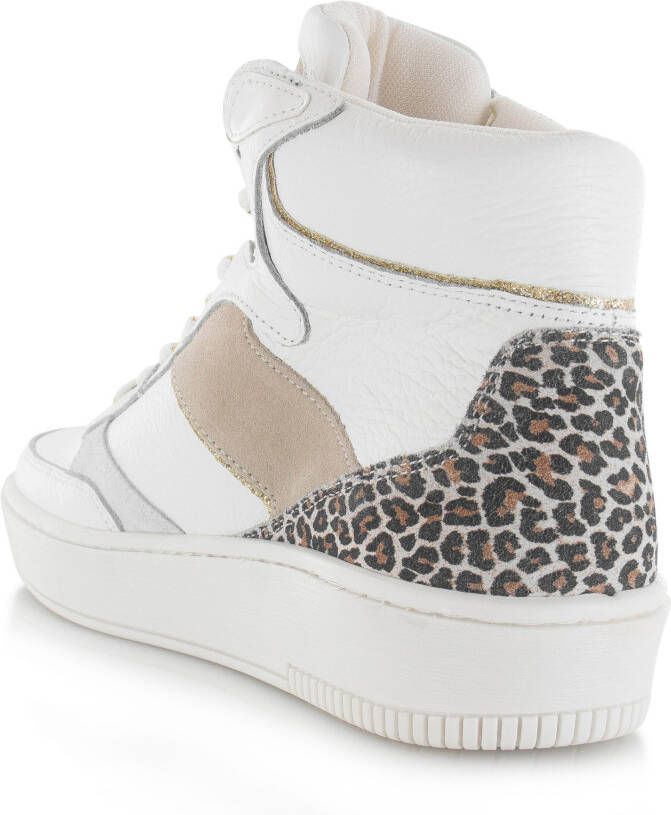 POELMAN P7153POE2 Hi top sneaker