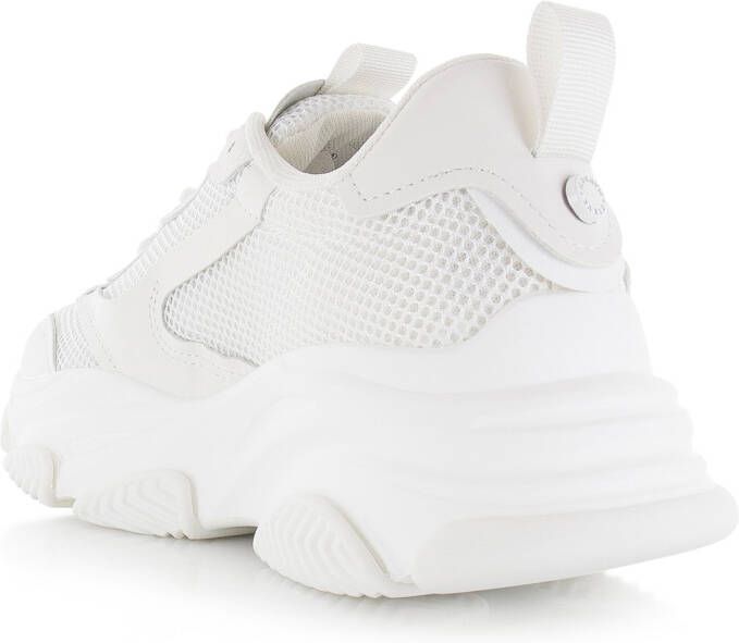 STEVE MADDEN Possess Wit Leer Lage sneakers Heren