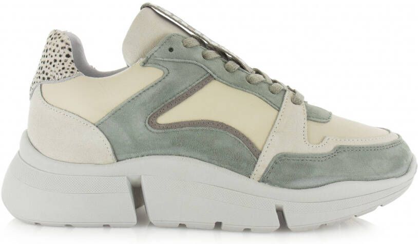 Maruti Cody Suede Leather Green Lage sneakers - Foto 5