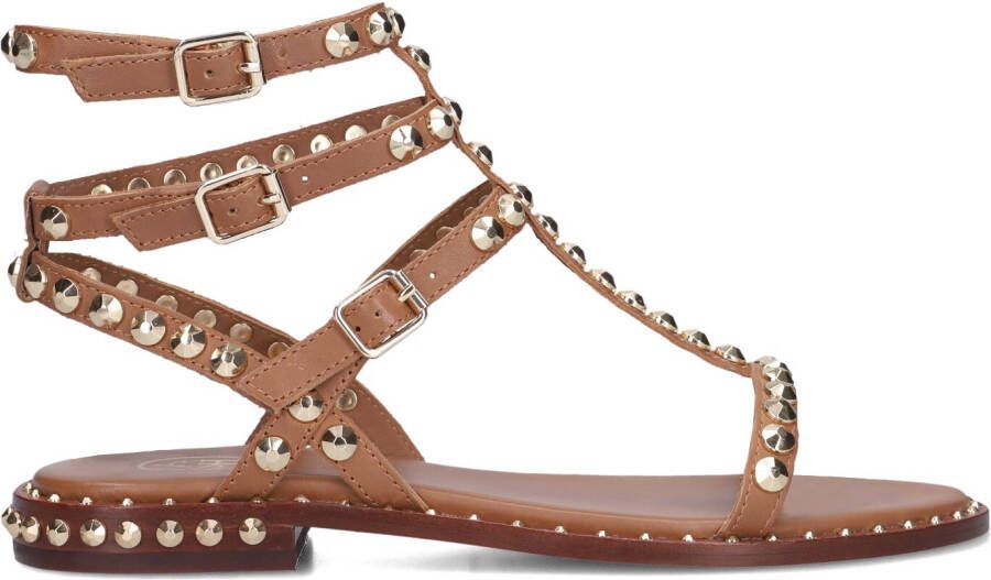ASH Dames Play Maat: 40 Materiaal: Leer Kleur: Bruin