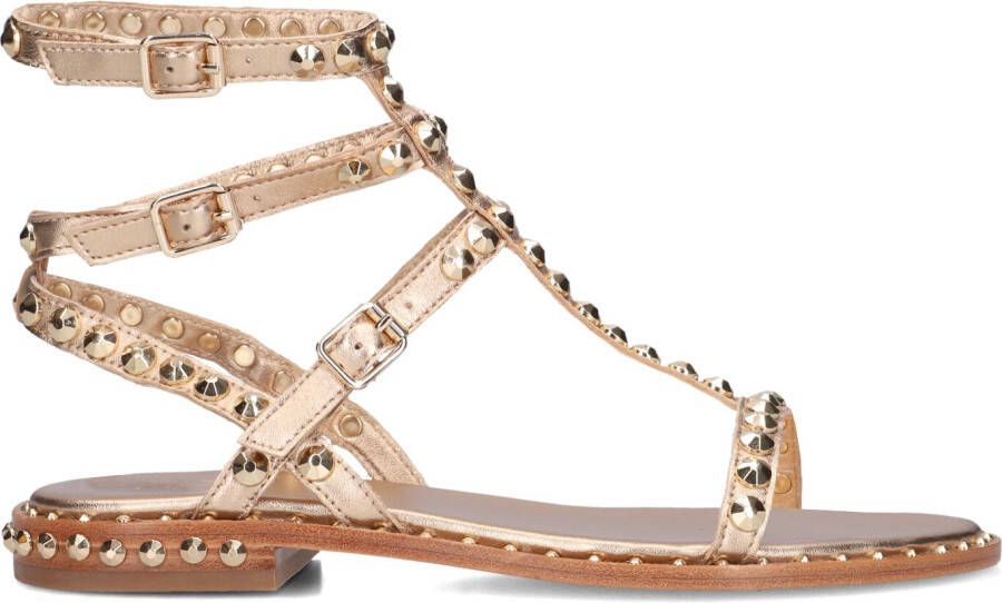 ASH Dames Play Maat: 40 Materiaal: Leer Kleur: Goudkleurig - Foto 2