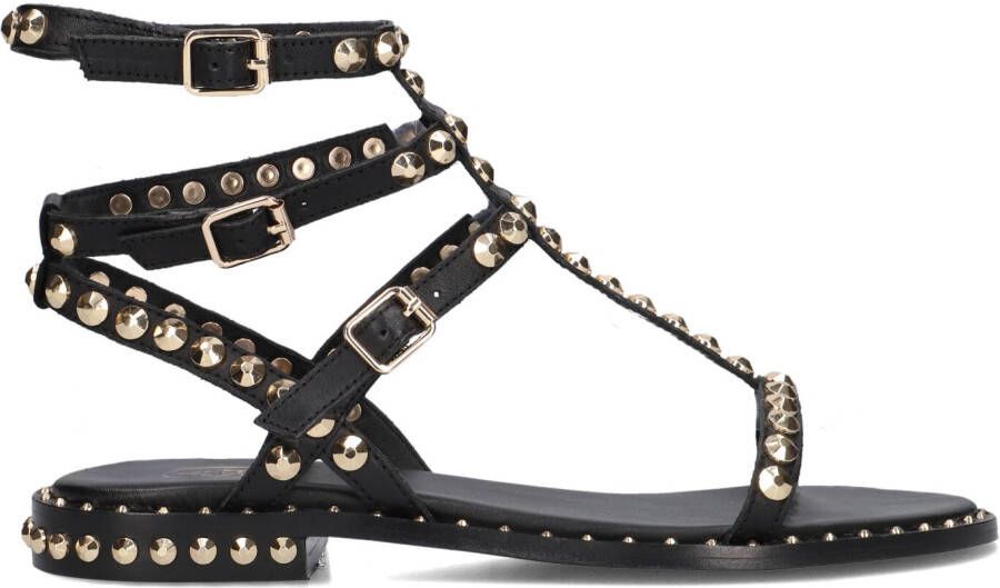 ASH Dames Play Maat: 37 Materiaal: Leer Kleur: Zwart