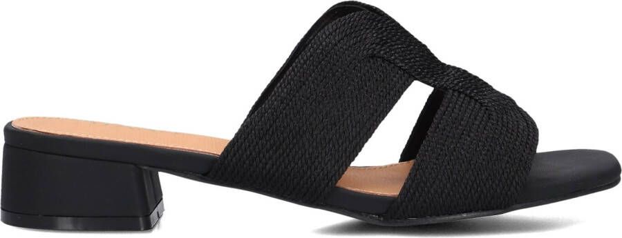 AYANA Slippers Dames 0325-8 Maat: 36 Materiaal: Raffia Kleur: Zwart