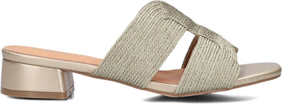 AYANA Slippers Dames 0325-8 Maat: 38 Materiaal: Raffia Kleur: Goud