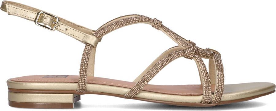 BIBI LOU Dames 859z00hg Maat: 41 Materiaal: Leer Kleur: Goud