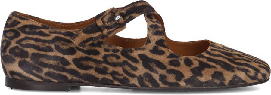 BILLI BI Ballerina Dames A8314 Maat: 42 Kleur: Bruin