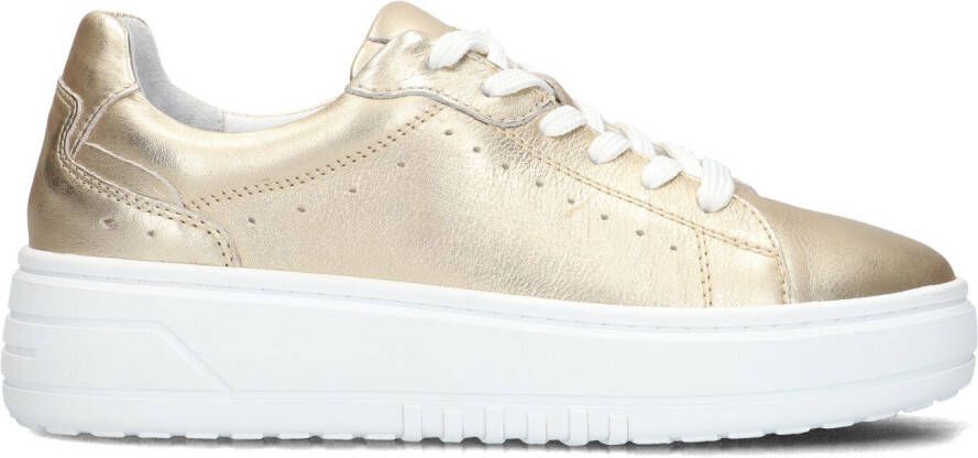 BLASZ Lage Sneakers Dames Anemone-02 Maat: 43 Materiaal: Leer Kleur: Goud