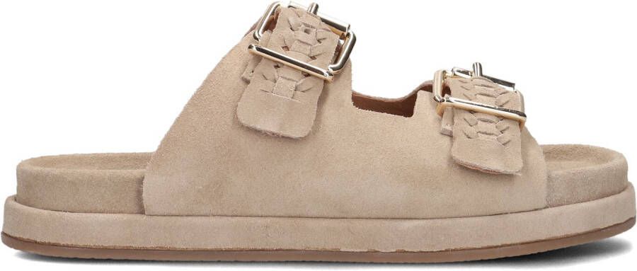 BLASZ Slippers Dames Lpmag-41 Maat: 43 Materiaal: Suède Kleur: Bruin