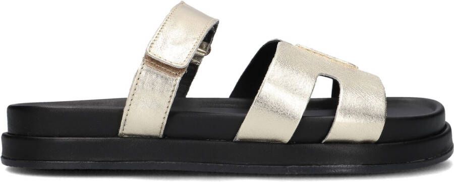 BLASZ Slippers Dames Lpmag-43 Maat: 37 Materiaal: Leer Kleur: Goud