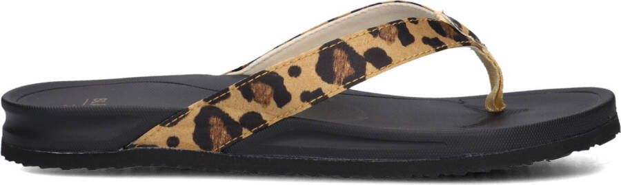 BLASZ Teenslippers Dames Bella 2402 Maat: 37 Materiaal: Leatherlook Kleur: Bruin