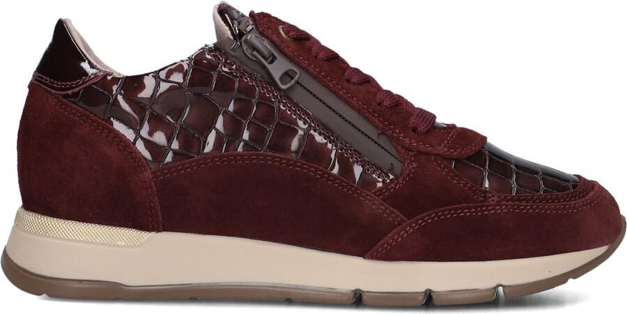 DL SPORT Lage Sneakers Dames 7118 Bruin - Foto 2
