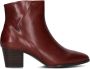 EVERYBODY Enkellaarsjes Dames Vilma Maat: 38 5 Materiaal: Leer Kleur: Rood - Thumbnail 4