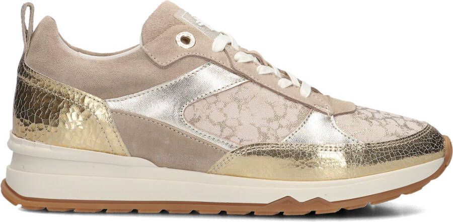 FLORIS VAN BOMMEL Lage Sneakers Dames Sfw-10132 Mari Maat: 39 Materiaal: Suède Kleur: Goud