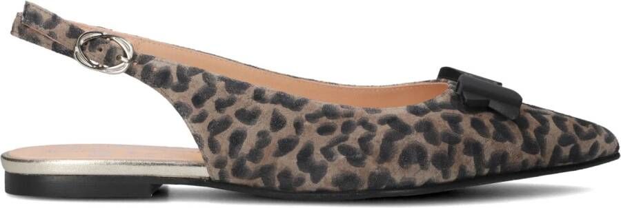 FLORIS VAN BOMMEL Slingbacks Dames Sfw-40050 Suède Bruin