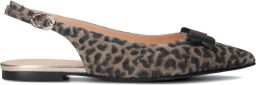 FLORIS VAN BOMMEL Slingbacks Dames Sfw-40050 Suède Bruin