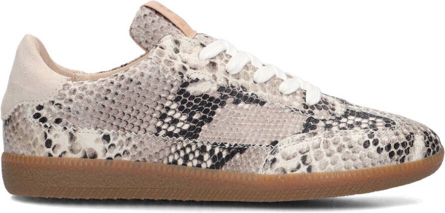 FRED DE LA BRETONIERE Lage Sneakers Dames Pearl Sign Maat: 40 Materiaal: Leer Kleur: Beige - Foto 4