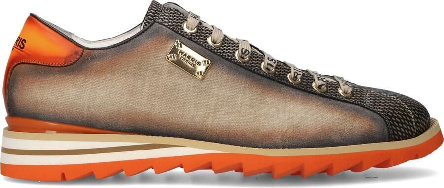 HARRIS Lage Sneakers Heren 2892 Maat: 42 Materiaal: Textiel Kleur: Bruin - Foto 3