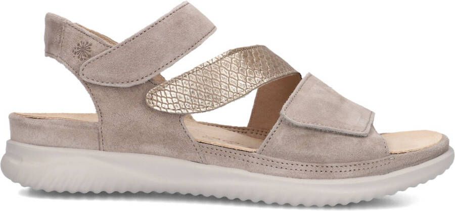 HARTJES Dames Breeze Maat: 40 Materiaal: Suède Kleur: Grijs