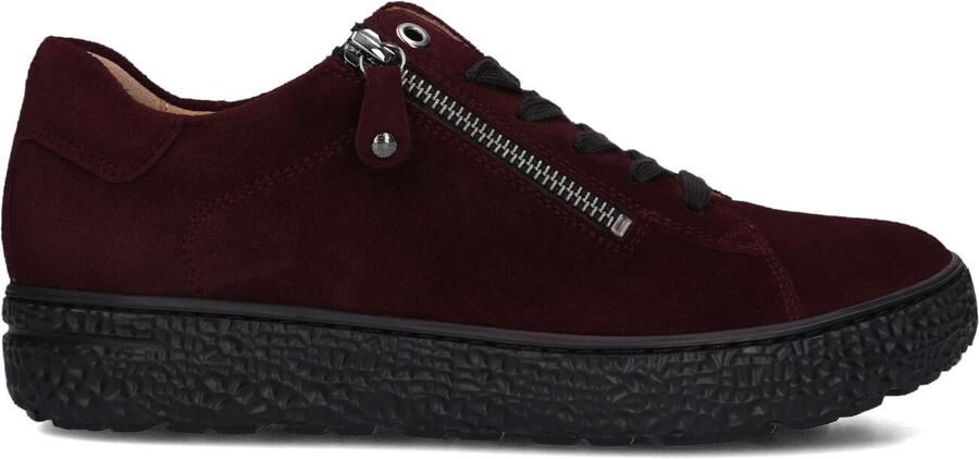 HARTJES Lage Sneakers Dames 162.1401 Phil Suède Bordeaux - Foto 1