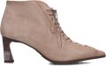 HISPANITAS Enkellaarsjes Dames Hi264960 C004 Suède Taupe - Taupe