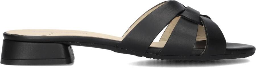 LINA LOCCHI Slippers Dames Led Knoop Slipper Maat: 42 Materiaal: Leer Kleur: Zwart