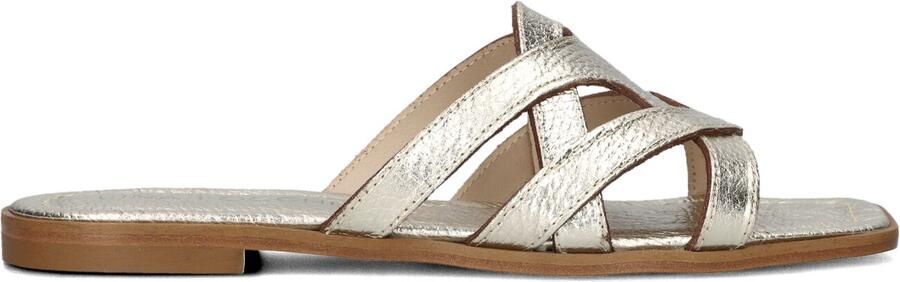 LINA LOCCHI Slippers Dames Led Slipper Met Gesp Maat: 40 Materiaal: Leer Kleur: Goud